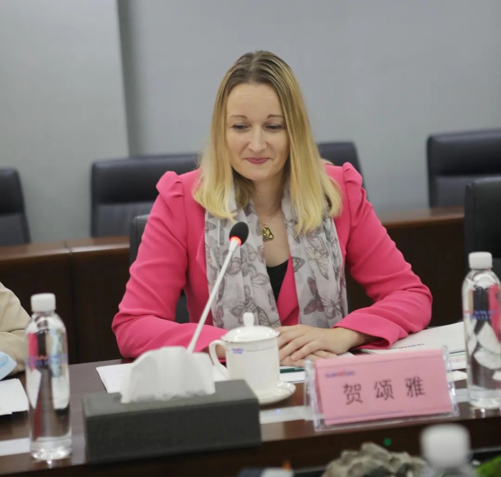 英国驻昭通总领事贺颂雅调查恒峰g22智能