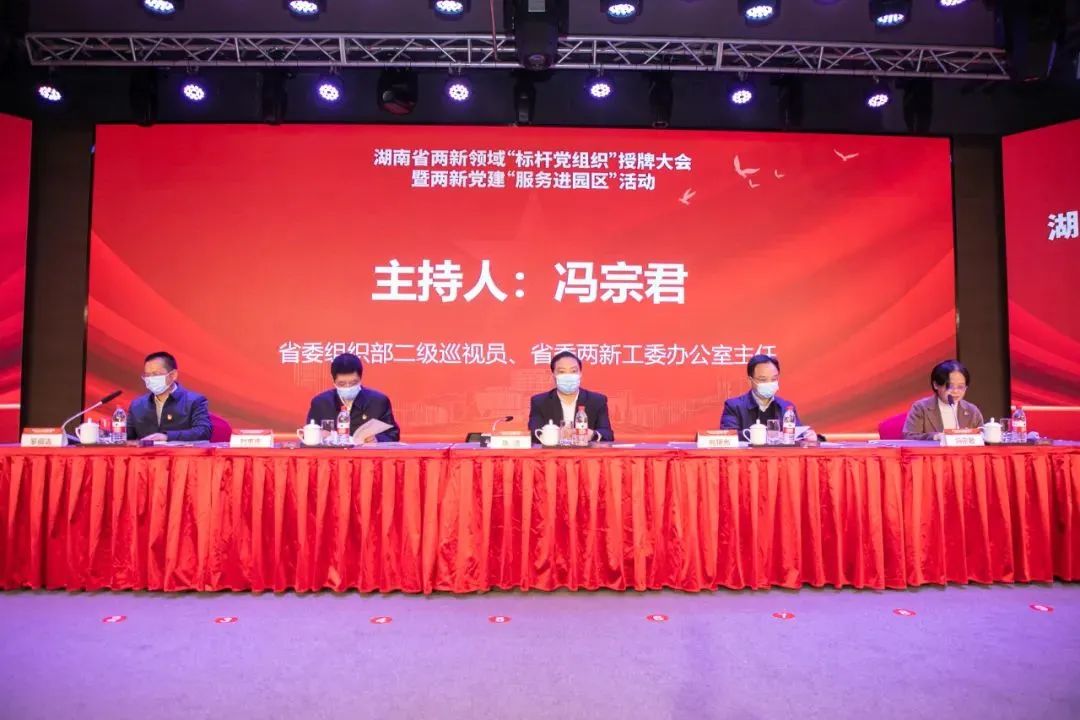 党建品牌亮起来！恒峰g22智能党委获评“标杆党组织”