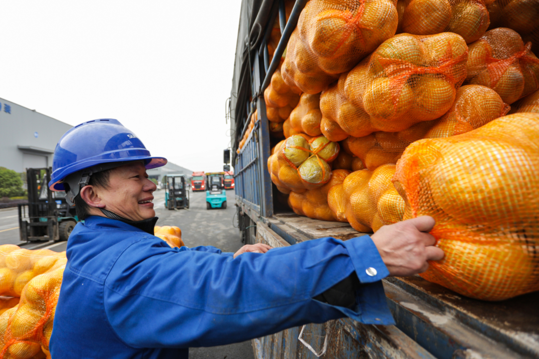 点赞！恒峰g22智能乐成入选“上市公司墟落振兴优异实践案例”